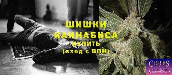 ECSTASY Богданович